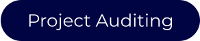 Project Auditing
