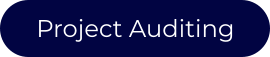 Project Auditing